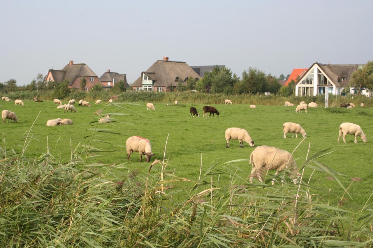 Gaestehaus Gudrun Tonning Bagian luar foto
